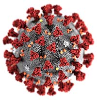 Corona Virus